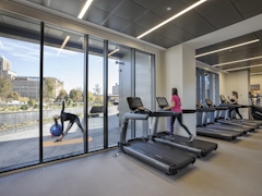 Thumbnail of The Ashland: 36D