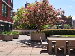 Thumbnail of The Nicole: 5C a bench in front of a brick building